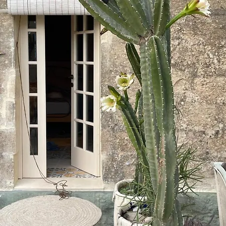 Art Modique * נדור