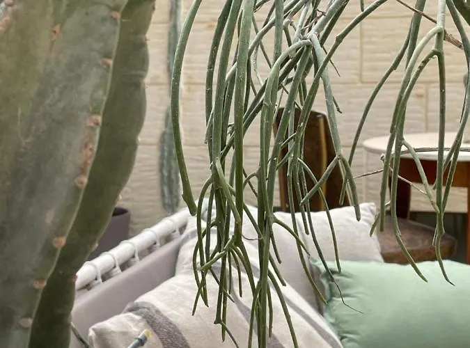 Ferienhaus Art Modique Nadur