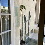 Art Modique Дом отдыха Надур