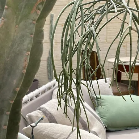 بيت للعطل Art Modique نادور