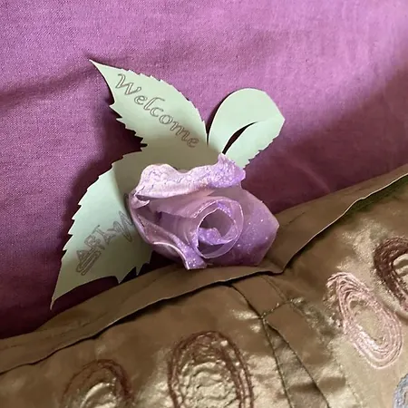 Art Modique Dom wakacyjny